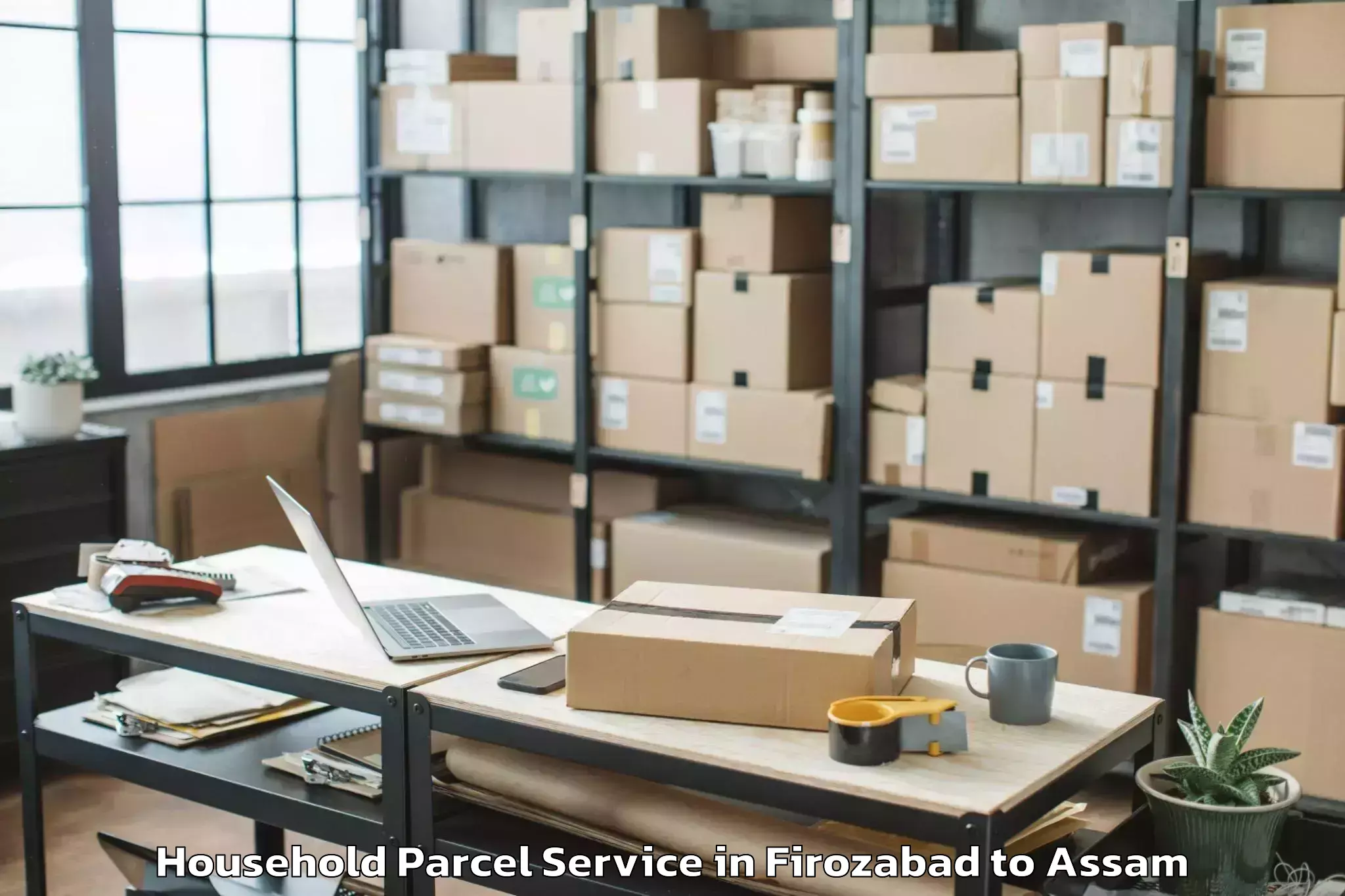 Hassle-Free Firozabad to Rajapara Khatajuli Household Parcel